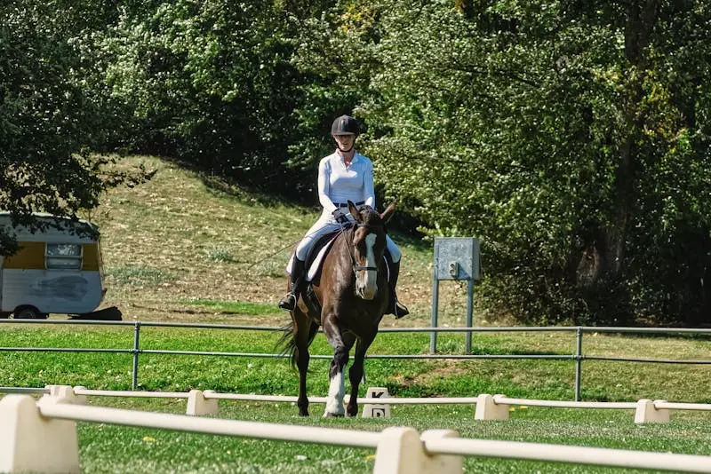 Cavalière en séance de dressage en extérieur