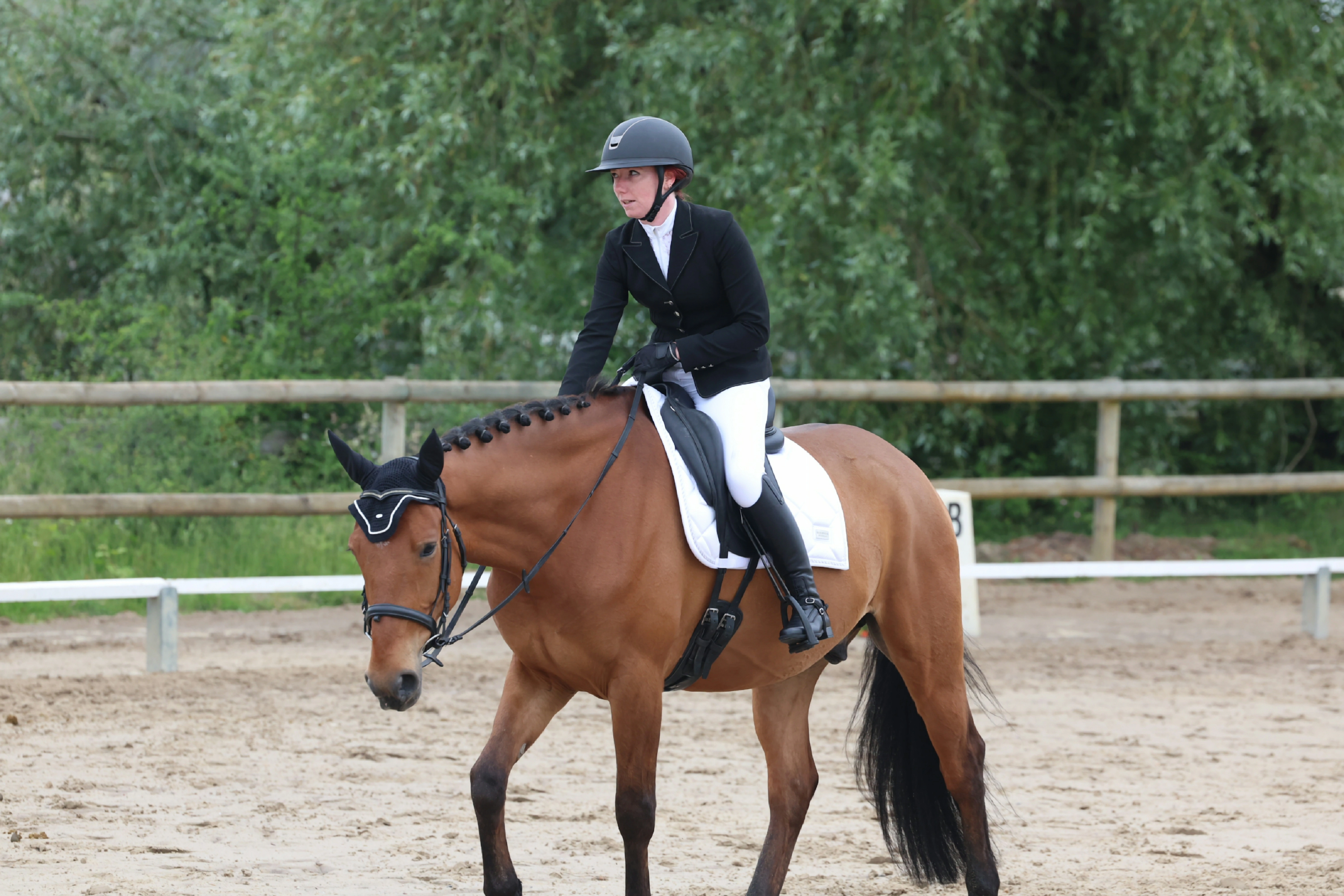 Cavalière en session de dressage à cheval