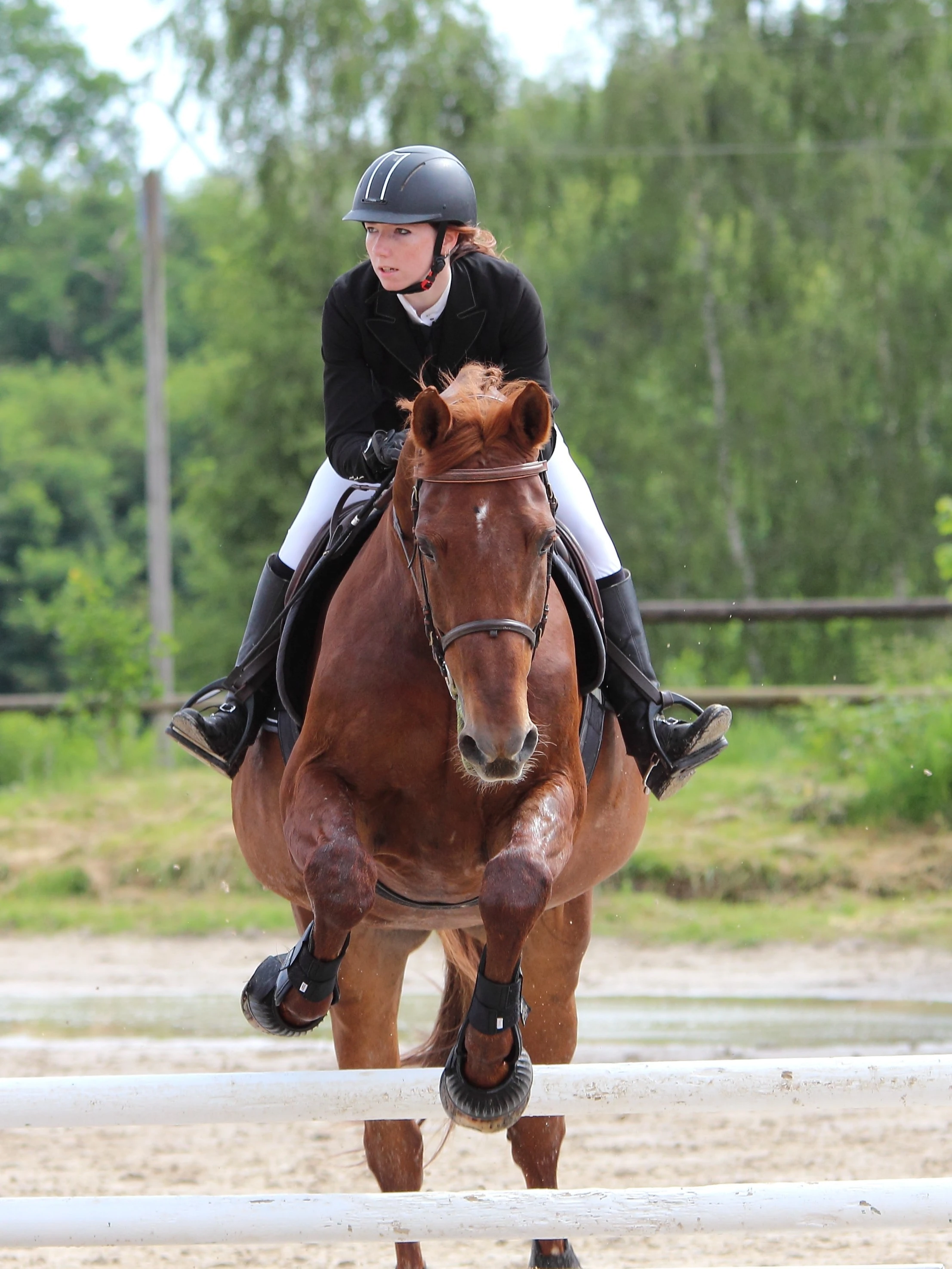 Monitrice avec cheval en extérieur, portrait en mode paysage